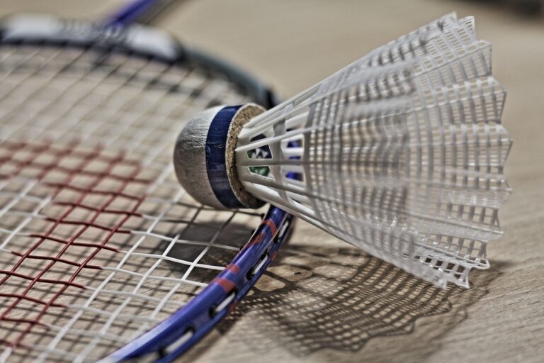 badminton-generico