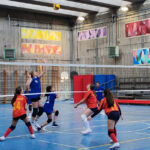 VolleyF_2