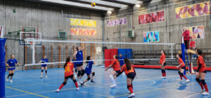 VolleyF_2