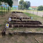 WhatsApp-Image-2025-06-11-at-16.11.40-1-150x150 Frutti e fatica: nasce l'Orto e il Giardino delle Farfalle! 