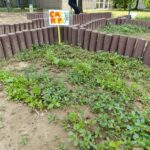 WhatsApp-Image-2025-06-11-at-16.11.40-150x150 Frutti e fatica: nasce l'Orto e il Giardino delle Farfalle! 