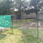WhatsApp-Image-2025-06-11-at-16.11.40-3-150x150 Frutti e fatica: nasce l'Orto e il Giardino delle Farfalle! 